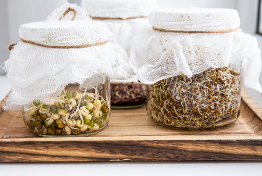 The Health Benefits of Sprouted Brown Rice Protein and other Sprouted Foods